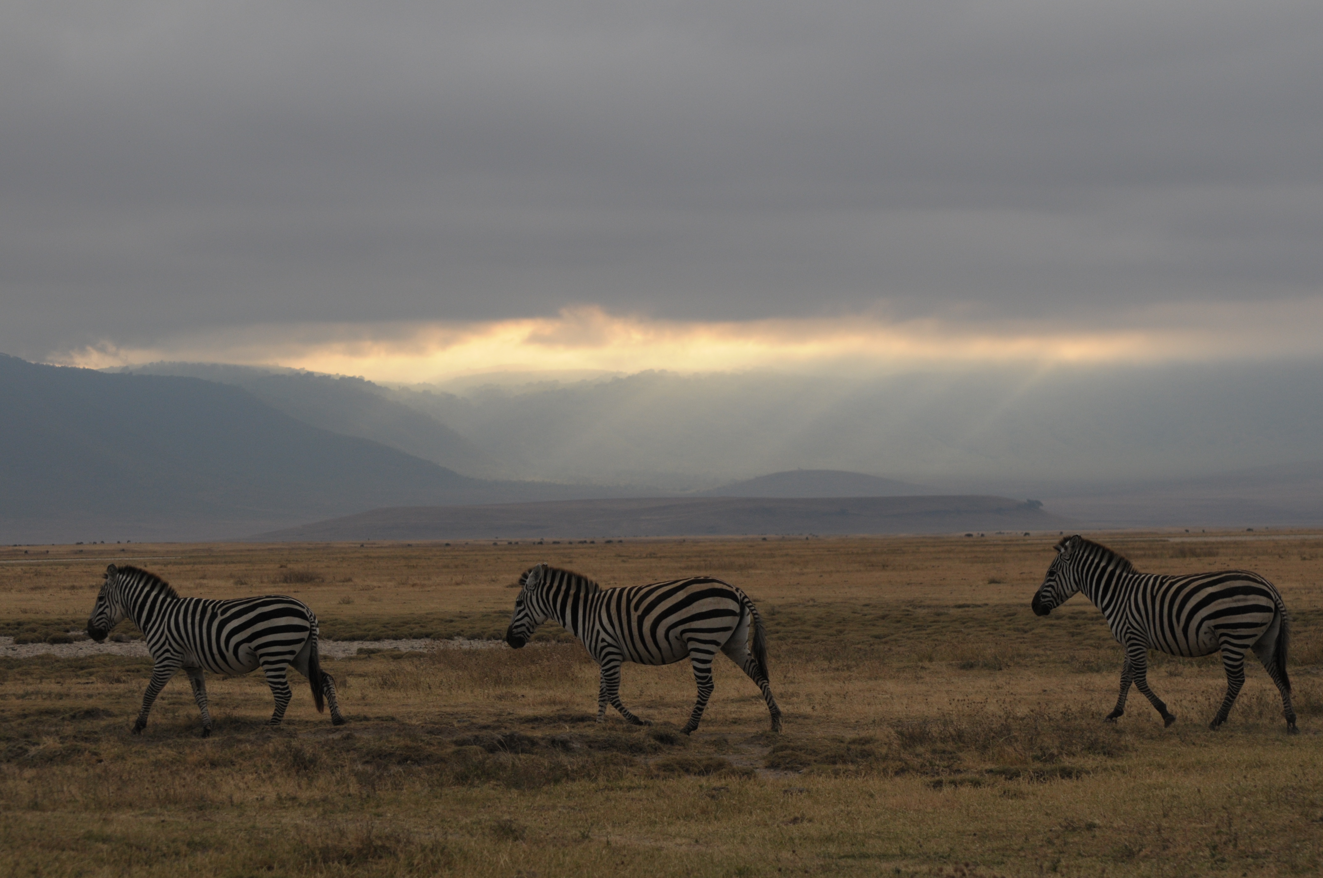 Sonnenaufgang im Ngorongoro